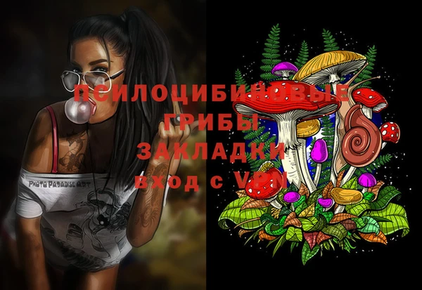амф Абаза