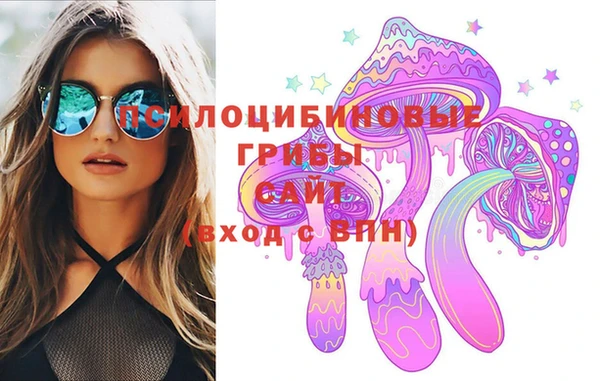 ПСИЛОЦИБИНОВЫЕ ГРИБЫ Абдулино