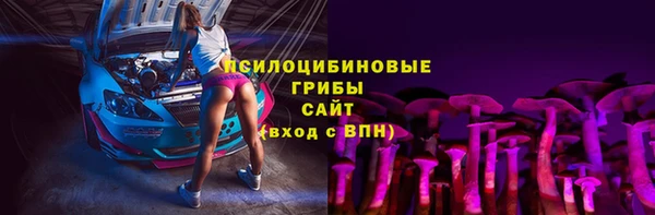 амф Абаза