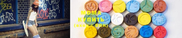 шишки Няндома