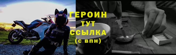 шишки Няндома