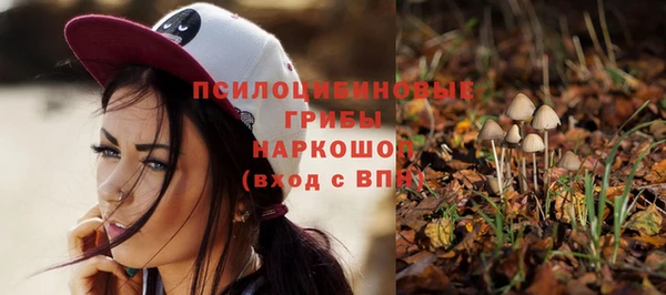шишки Няндома