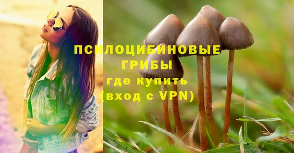 молекула духа Абинск