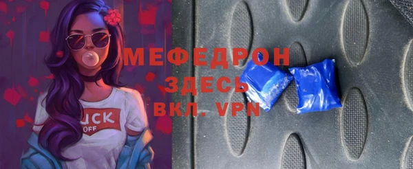 шишки Няндома